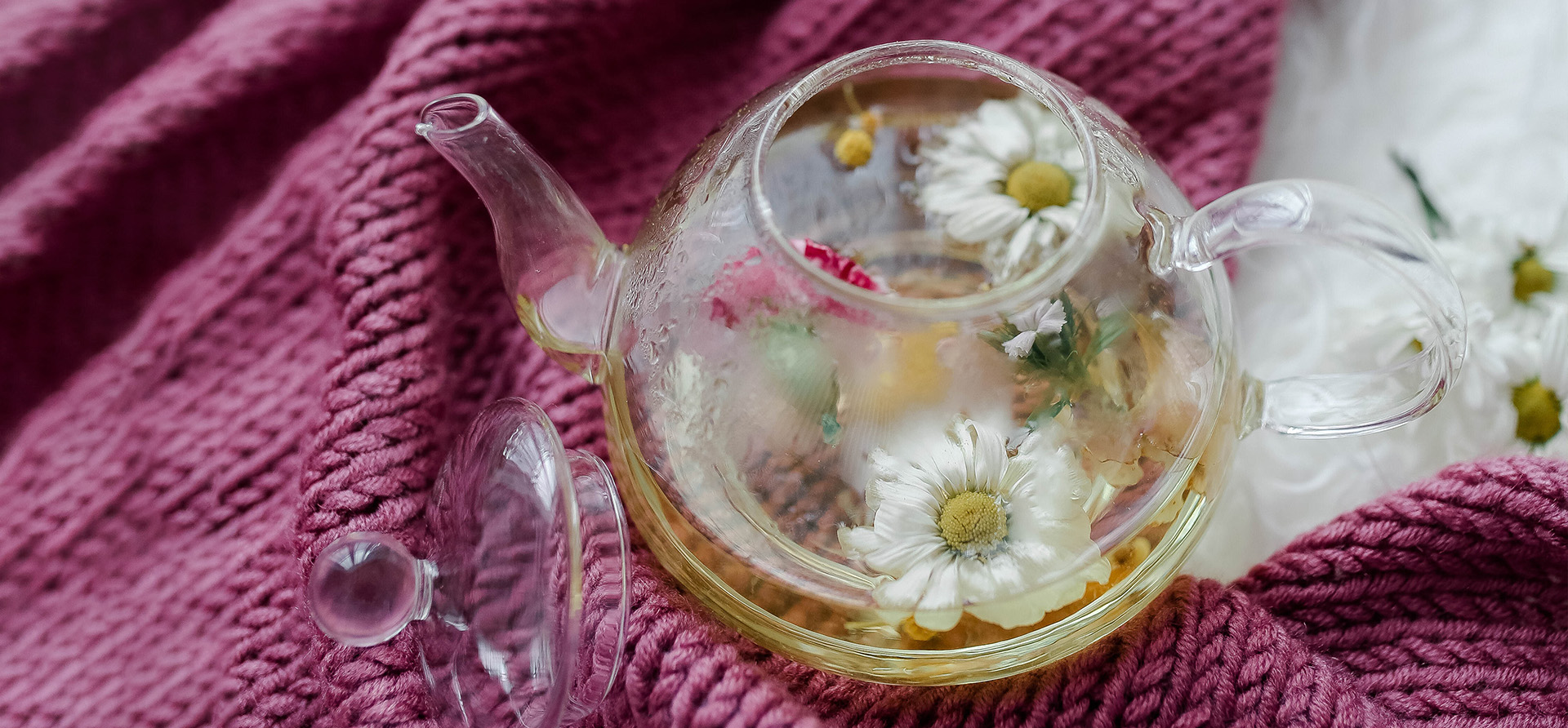 Glaskanne mit Kräutern und Blumen auf rosa Schal