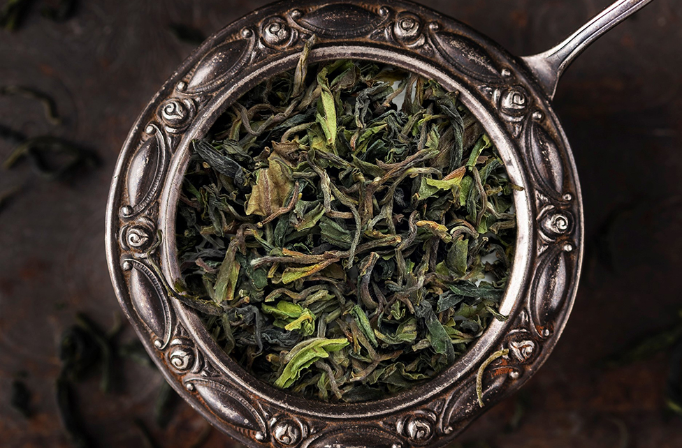 First Flush Teesta Valley 1