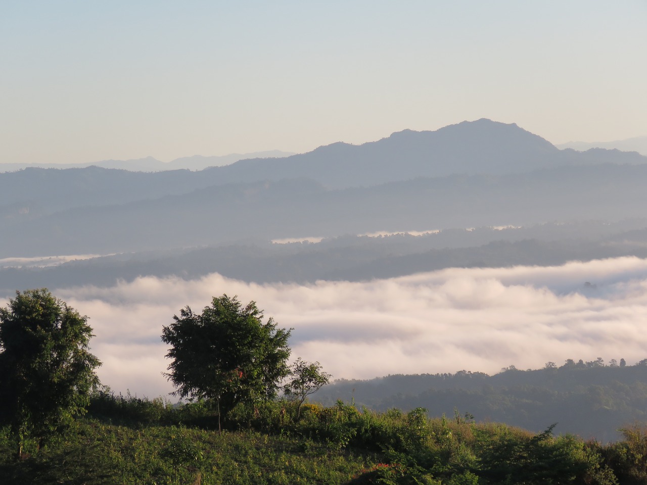 Teereise Nilgiri Südindien